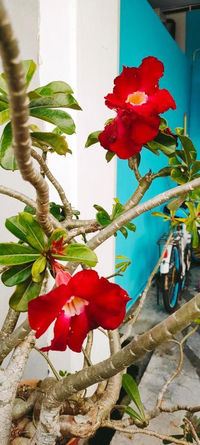Hanaa Homestay Meru 이포 외부 사진